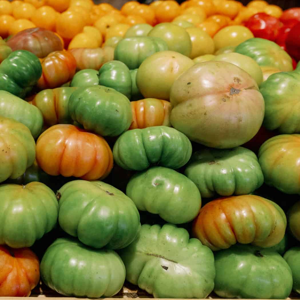 seed to table_green tomatoes