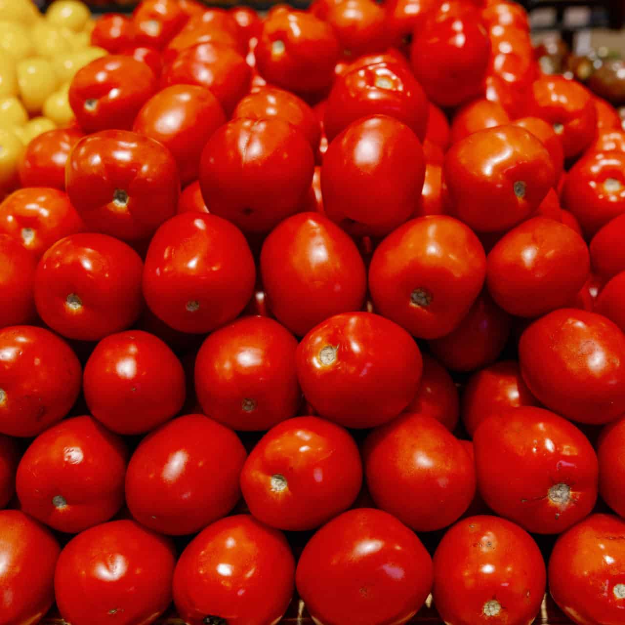 seed to table_tomatoes
