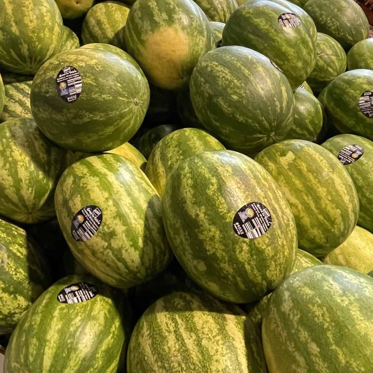 seed to table_watermelon